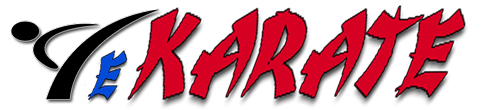 eKarate.eu logo